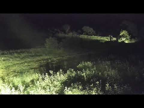 Djuma: Sights of the early morning including rain (no audio) - 03:06 - 02/14/21