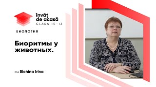 Биоритмы у животных