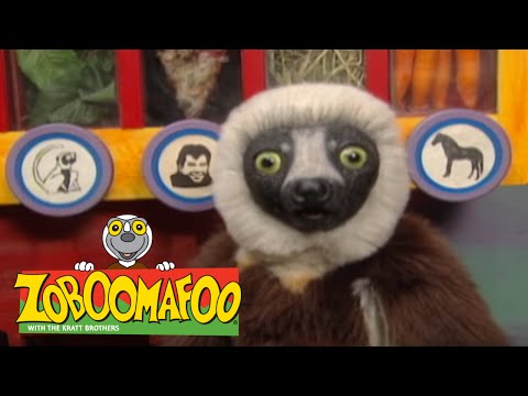 Zoboomafoo 214 - Bovine (Full Episode)