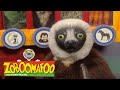 Zoboomafoo 214 Bovine Full Episode
