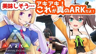 【Ark】冒険編：ついにFly Awayする！？【ホロライブ/ #夏アッキー 】