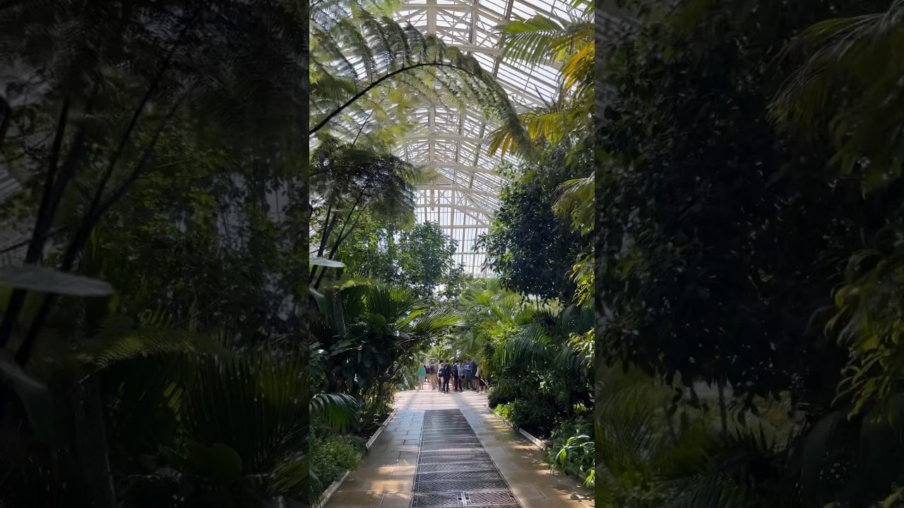 YouTube Short thumbnail