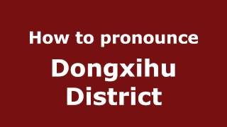 How to pronounce Dongxihu District