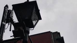 Un día Gris | 11°