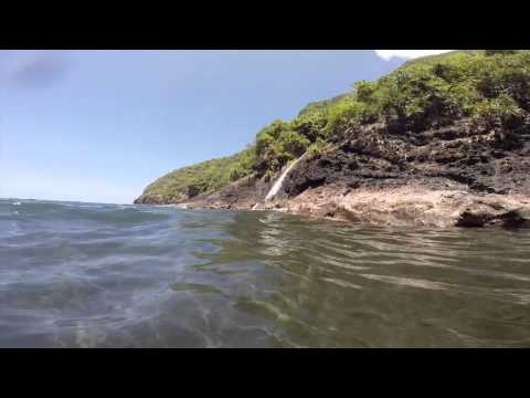 Farmers Market Hawaii - Molokai Backside