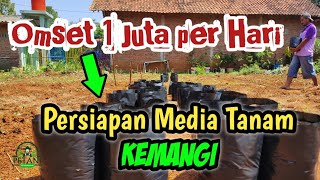 Download lagu Omset 1 Juta per Hari | Begini Persiapan Media Tanam Kemangi di PolyBag‼️ mp3