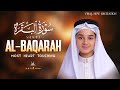 Surah Al Baqarah Full سورة البقره Abdullah Ahmed Shaaban Most Heart Touching Habibullah TV
