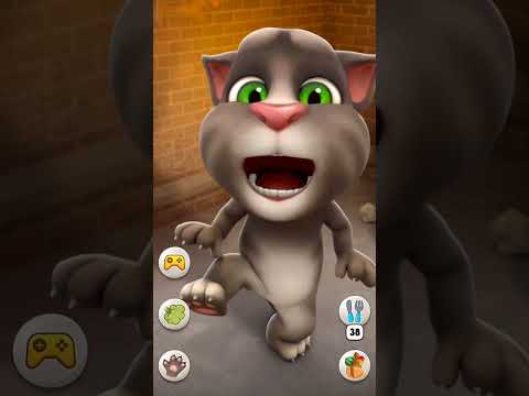 Talking Tom Cat  #shorts #funny