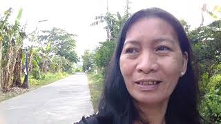 Napadpad ako sa isang lugar kong saan doon ay maraming tanim ng sinturisan