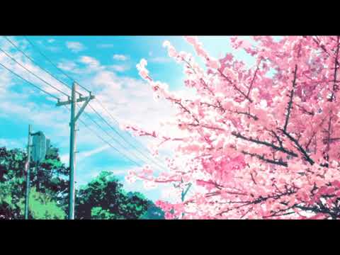 shawn mendes - lost in japan / slowed + reverb /