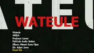 Wateule - Msela
