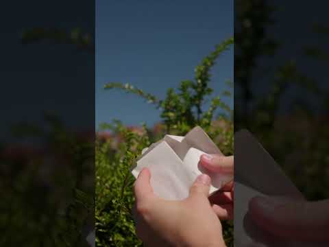 Beviro Purifying Body Scrub Bar