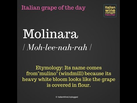 Molinara