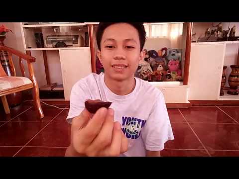 How To Make Chocolate In Just 20 Seconds (Magic Vine) | Louie Gerson Galolo