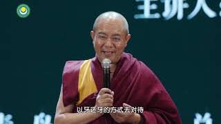 39社会演讲—青岛慈善论坛-企业家的最高境界是什么？ >> 20161115 青岛慈善论坛 【企业家的最高境界是什么 问答】
