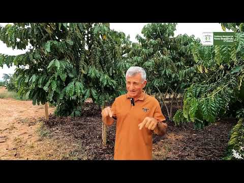 Legados da nossa Terra: A Jornada do Café Clonal