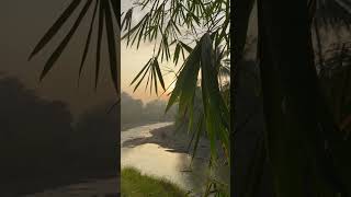 Download lagu Sungai serayu pagi hari #shorts mp3