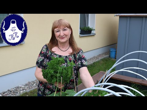 Kräuter Vorrat / Kräuter Paste - Pesto selber machen, schnell & einfach. Mit Anleitung