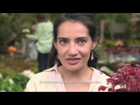 Las chinches contra el alcoholismo