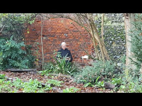 Morning Prayer – Wednesday, 16th December 2020