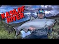 Fishing For KING SALMON On The Kasilof River DELICIOUS Soldotna Alaska