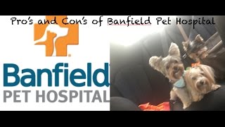Banfield Hospital Optimum Wellness Plan Pro's & Con's
