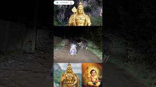 Download lagu “Bison on the Road! 😱 Just Missed from a Dangerous Attack 🦬💨” mp3