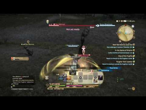 FF14 PUGILIST To lvl 15 PART 1