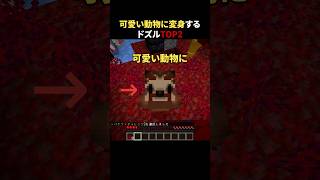 可愛い動物に変身するドズルTOP2 #shorts #マイクラ #minecraft
