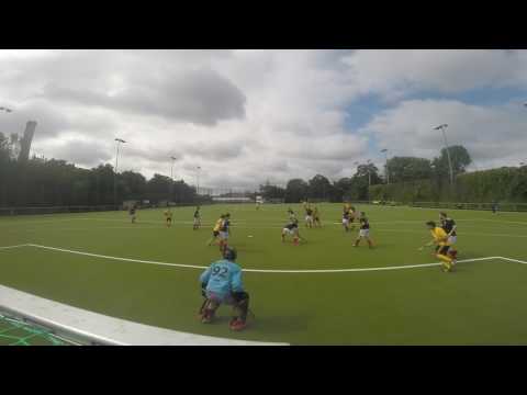 Hockey 1. VL Herren Berliner SV : Mariendorfer HC 2 vom 02.07.2017