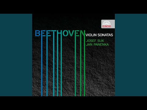 Sonata for Violin and Piano No. 1 in D major, Op 12 No. 1 - Allegro con brio