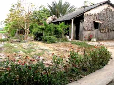 Thể hiện bởi Ngọc Sơn