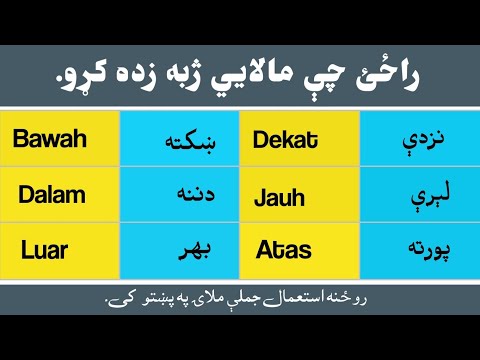 Learn Malaysian Language With Pashto Translate |Malay To Pashto |Daily Use Words for Beginners 🇲🇾🇵🇰