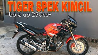 Download lagu REVIEW TIGER REVO STREET RACING TOURING - SIMPLE ELEGAN KONSEP ‼️ mp3