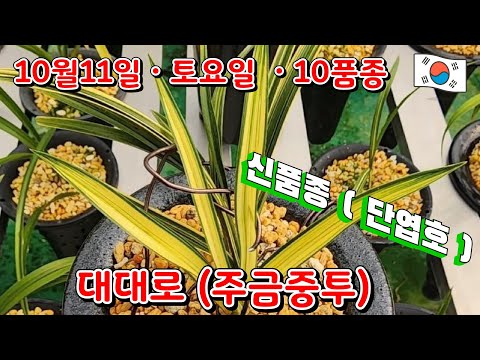 유튜브 썸네일