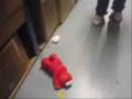 That Tickles