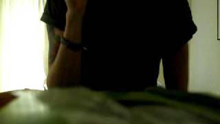 Silent Screams - Burning Bridges (Vocal Cover)