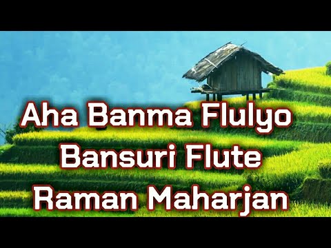 Aha Banma Fulyo Fulai Ful | Nepali Flute  Music | Nepali Instrumental Music | Raman Flute