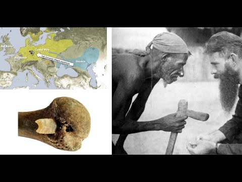 Petr Květina: Prehistorie, která mění pravidla