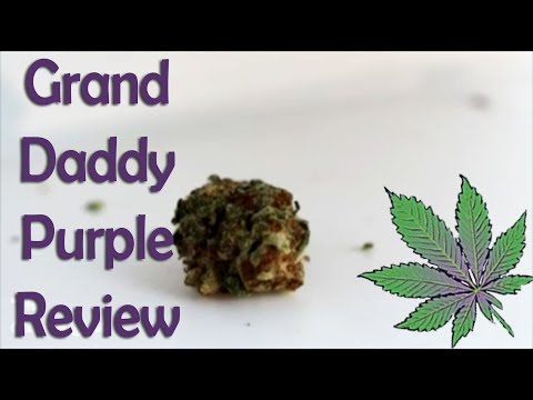 Granddaddy Purple - Strain Review