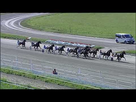 Napoli Trotto 12/05/2023 - 6ª corsa