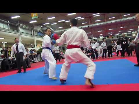 Final male kumite -65 kg. World Karate Championship WTKA e WKA 2014