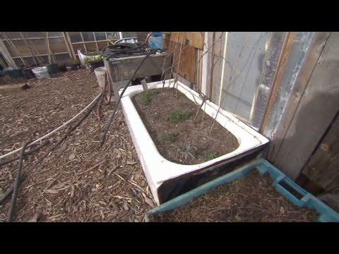 Robertas Nursery