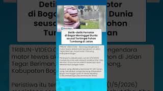 Pemotor di Bogor Meninggal Dunia seusai Tertimpa Pohon Tumbang akibat Hujan Angin