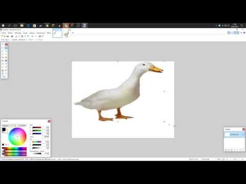 download lagu mp3 mp4 Paint Net Supprimer Fond Blanc, download lagu Paint Net Supprimer Fond Blanc gratis, unduh video klip Paint Net Supprimer Fond Blanc