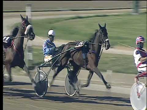 Trotto 15/10/2017 - 2ª corsa