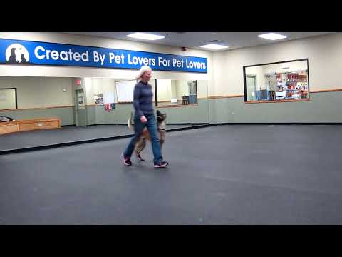 Saju and Jan, enjoying an indoor training day