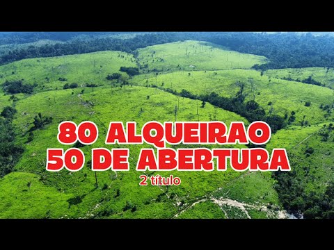 Olha que terra barata na região de Ruropolis pará! 400 hectare no total ! Acompanha o vídeo