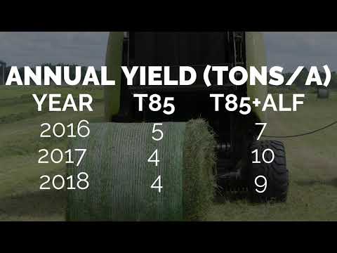 Alfalfa Bermudagrass Baleage Research (Video 10 of 13)