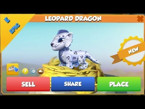LEOPARD DRAGON Hatching! Breeding the GORILLA + Sea Turtle Hatching Too! - DML #682
